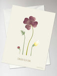 WISHES - Greeting card