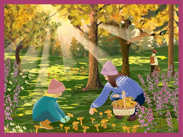 CHANTERELLES - puzzle with 300 pieces