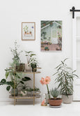Growing plants and orangery poster from Vissevasse