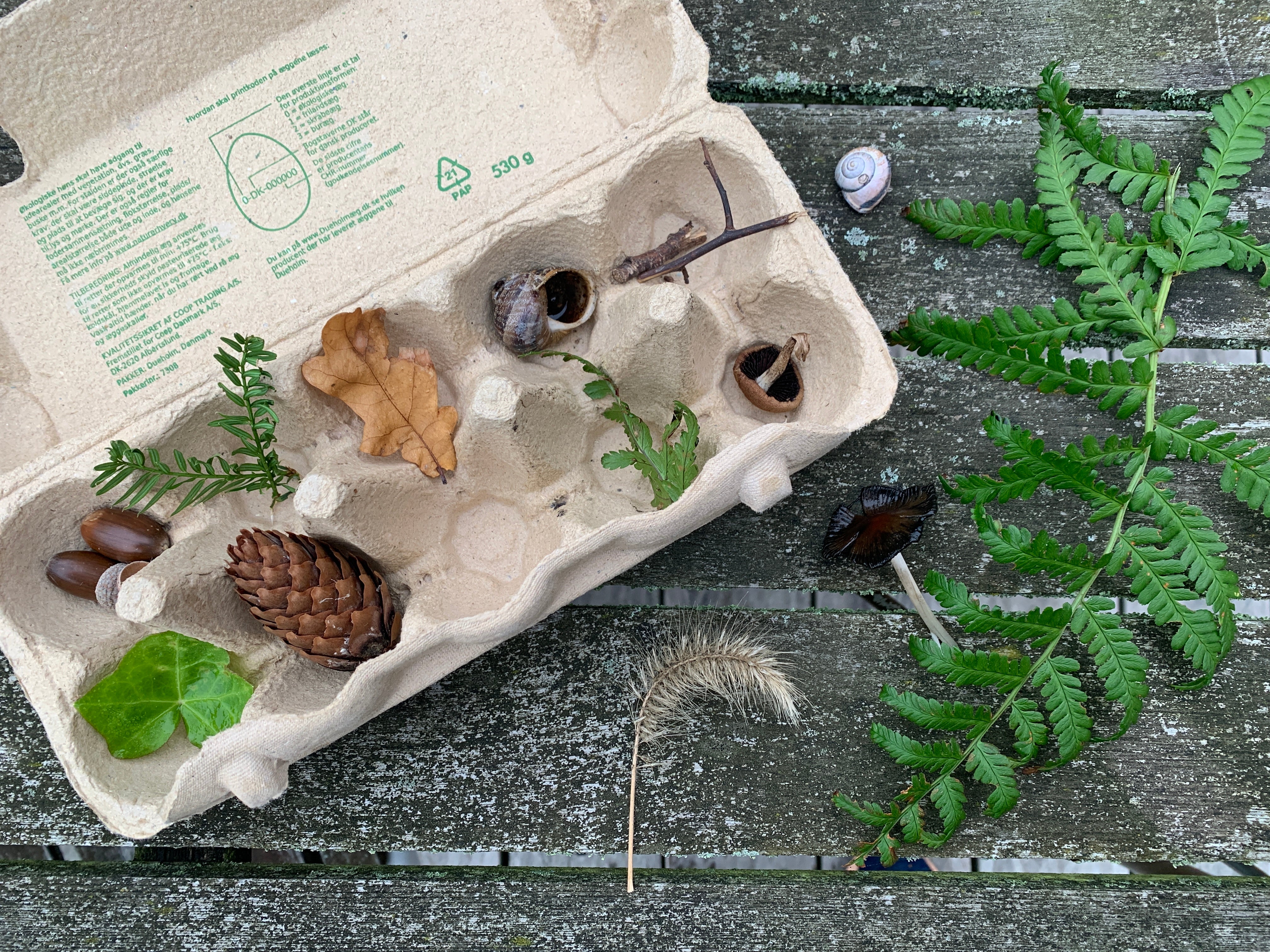 Nature bingo - gift