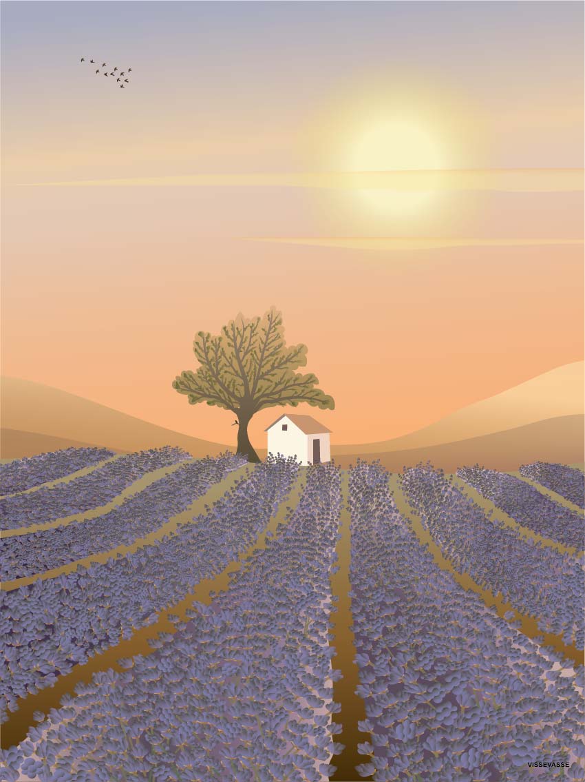 LAVENDER FIELD - card